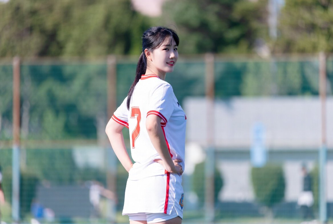 2026년 기준 최신 메이저사이트 운영 현황 분석